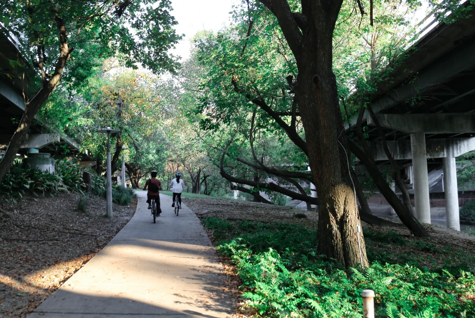 Unveiling the Beauty Beyond Houston: Road Trips to Explore from the City