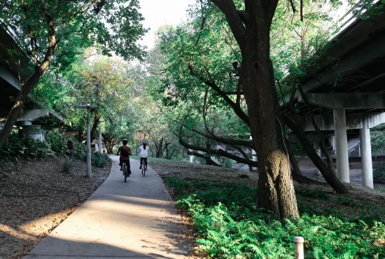 Unveiling the Beauty Beyond Houston: Road Trips to Explore from the City